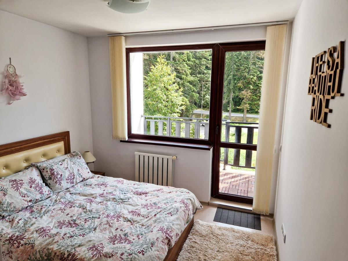 Sunny Apartment C25 Borovec Kültér fotó
