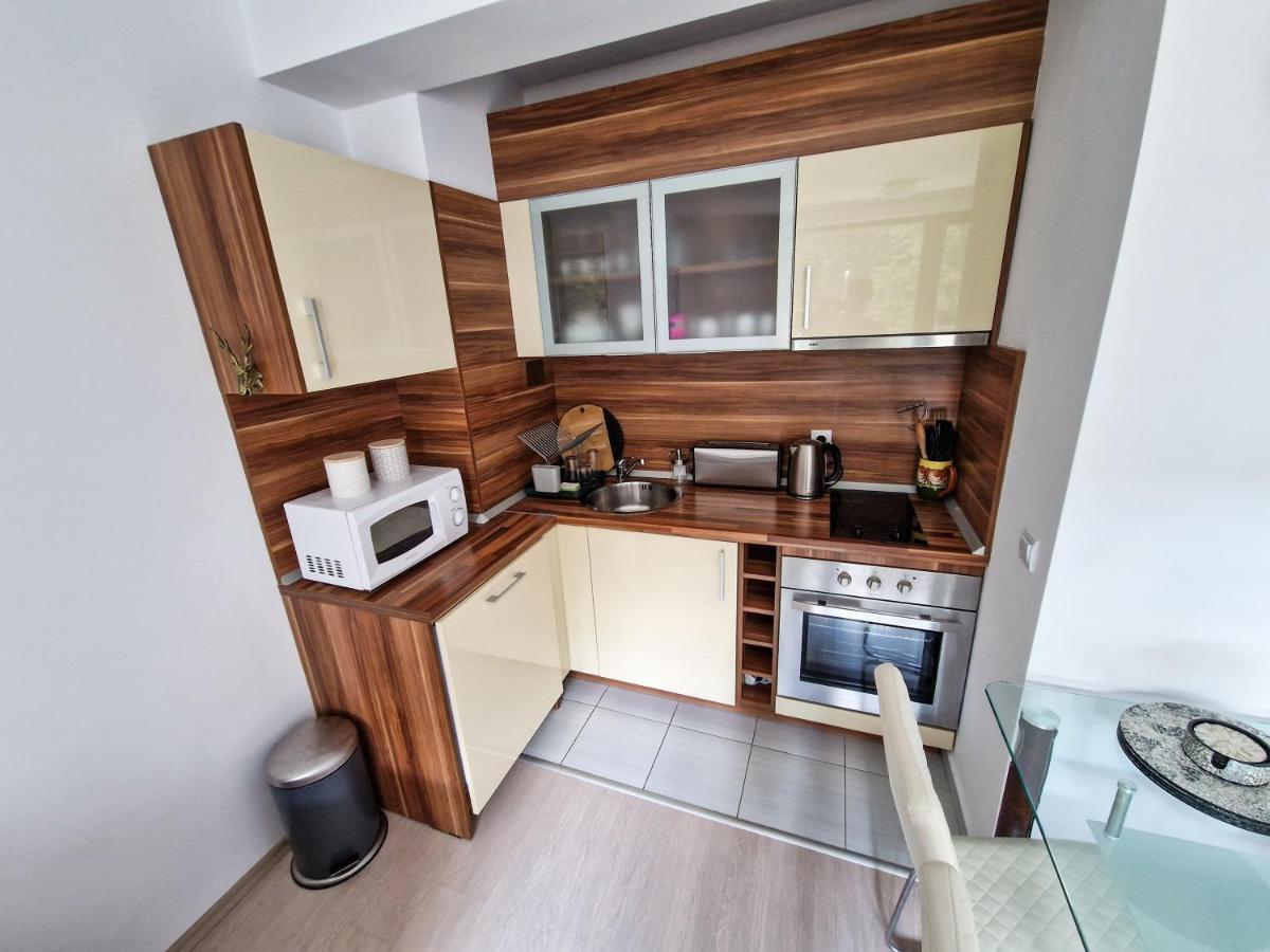 Sunny Apartment C25 Borovec Kültér fotó